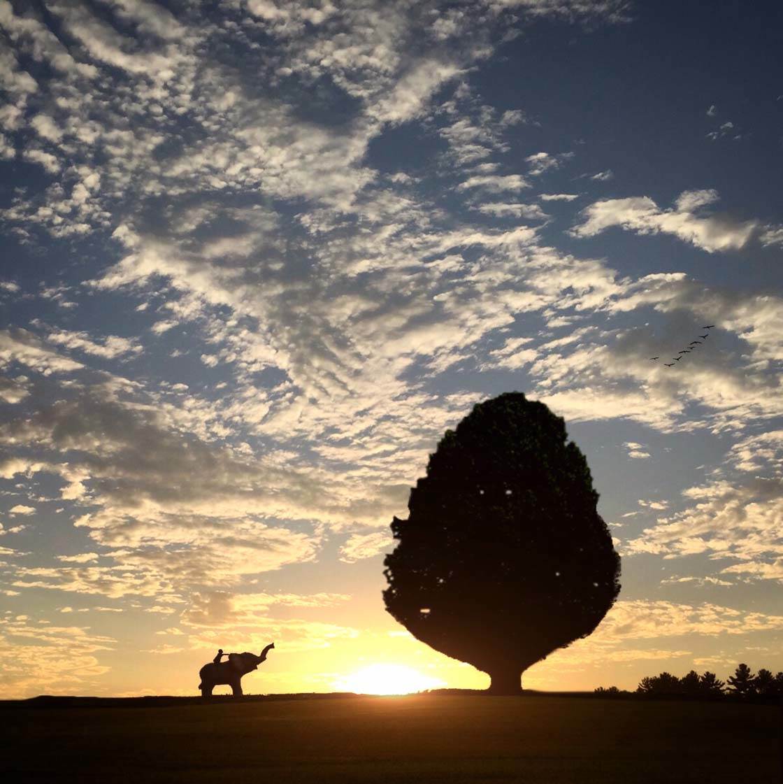 Fantasy Edit iPhone Photos 1